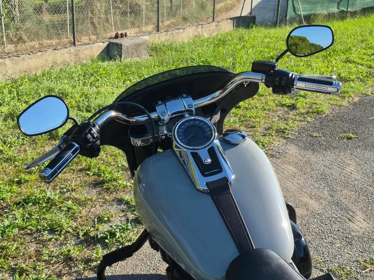 Harley-Davidson Sport Glide (2021 - 25) (10)