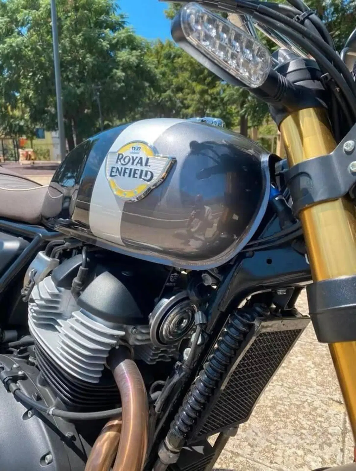 Royal Enfield Bear 650 (2025 - 26)