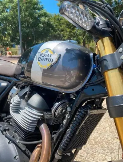 Royal Enfield Bear 650 (2025 - 26) usata