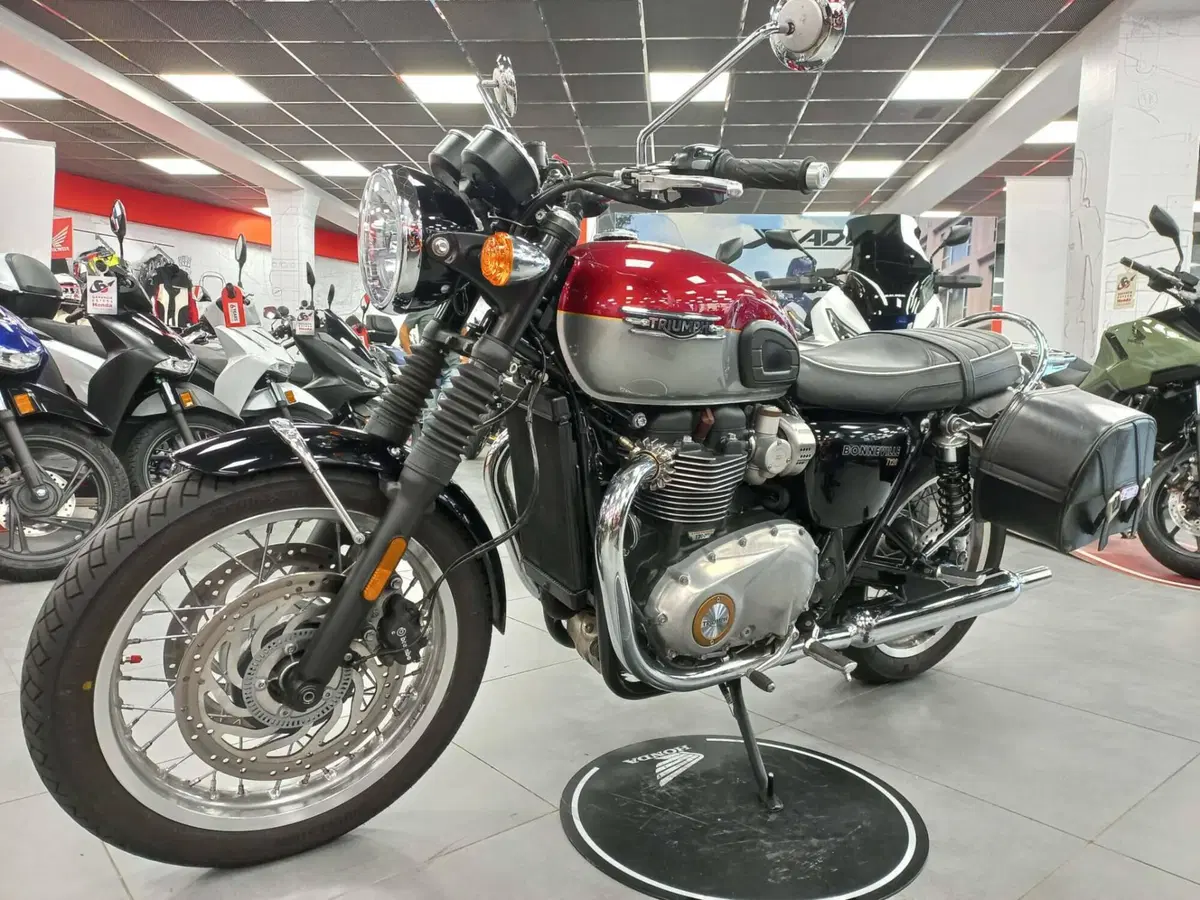 Triumph Bonneville T120 Gold Line Edition (2022 - 23) (2)