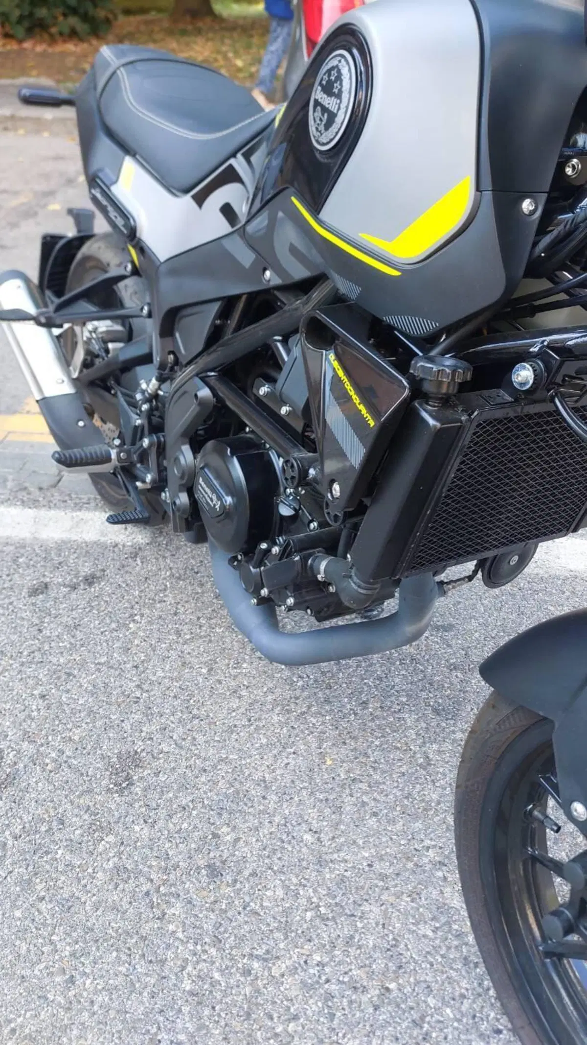 Benelli Leoncino 250 (2021 - 25) (4)