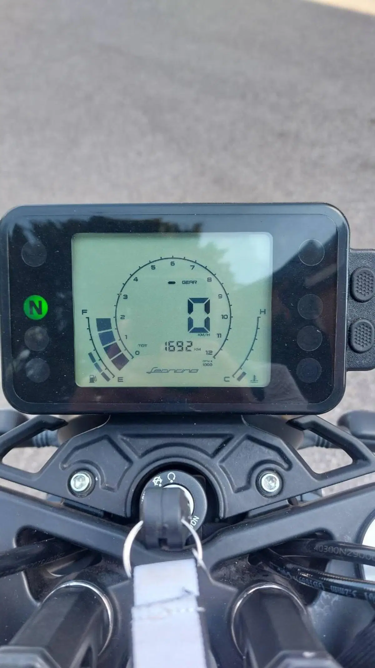 Benelli Leoncino 250 (2021 - 25) (6)