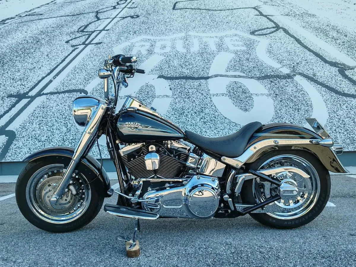 Harley-Davidson 1584 Fat Boy (2008 - 10) - FLSTF (2)