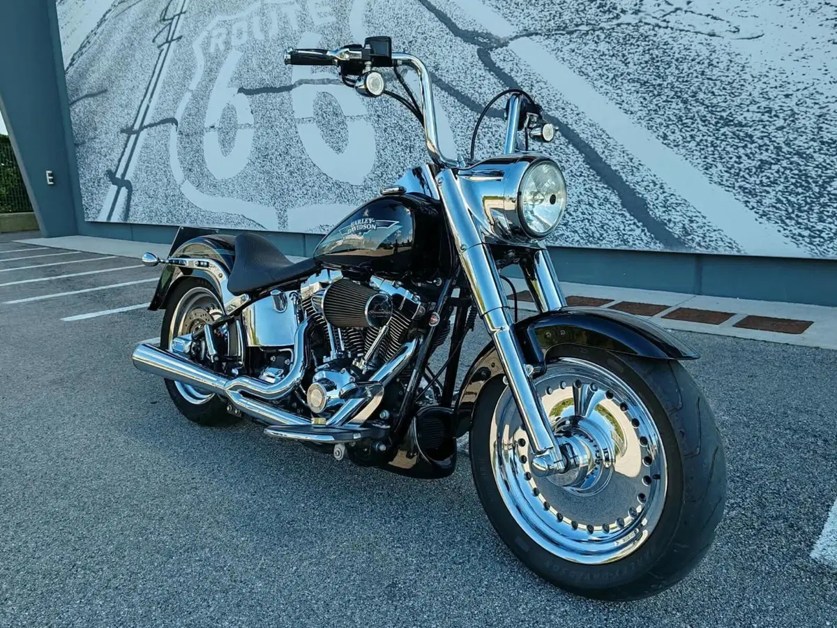 Harley-Davidson 1584 Fat Boy (2008 - 10) - FLSTF (3)