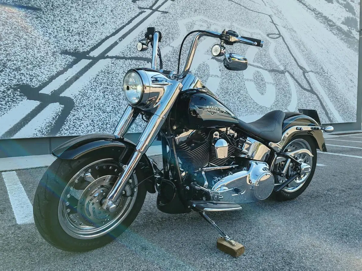 Harley-Davidson 1584 Fat Boy (2008 - 10) - FLSTF (4)
