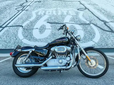 Harley-Davidson 883 Custom (2001 - 05) - XL 53C usata