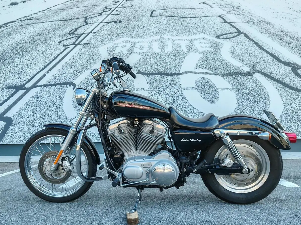 Harley-Davidson 883 Custom (2001 - 05) - XL 53C (2)