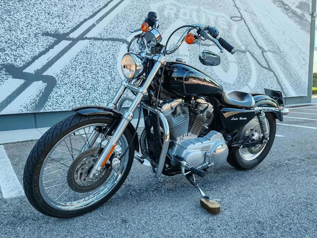 Harley-Davidson 883 Custom (2001 - 05) - XL 53C (4)