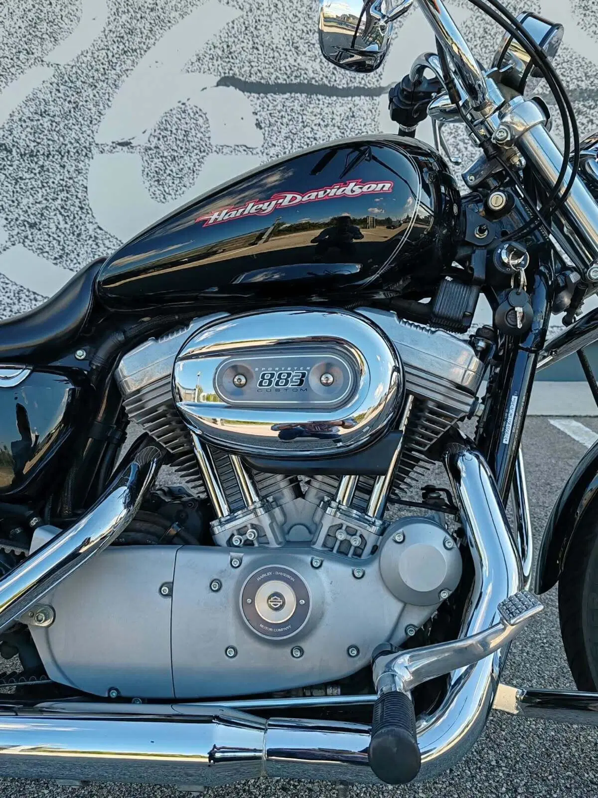 Harley-Davidson 883 Custom (2001 - 05) - XL 53C (5)
