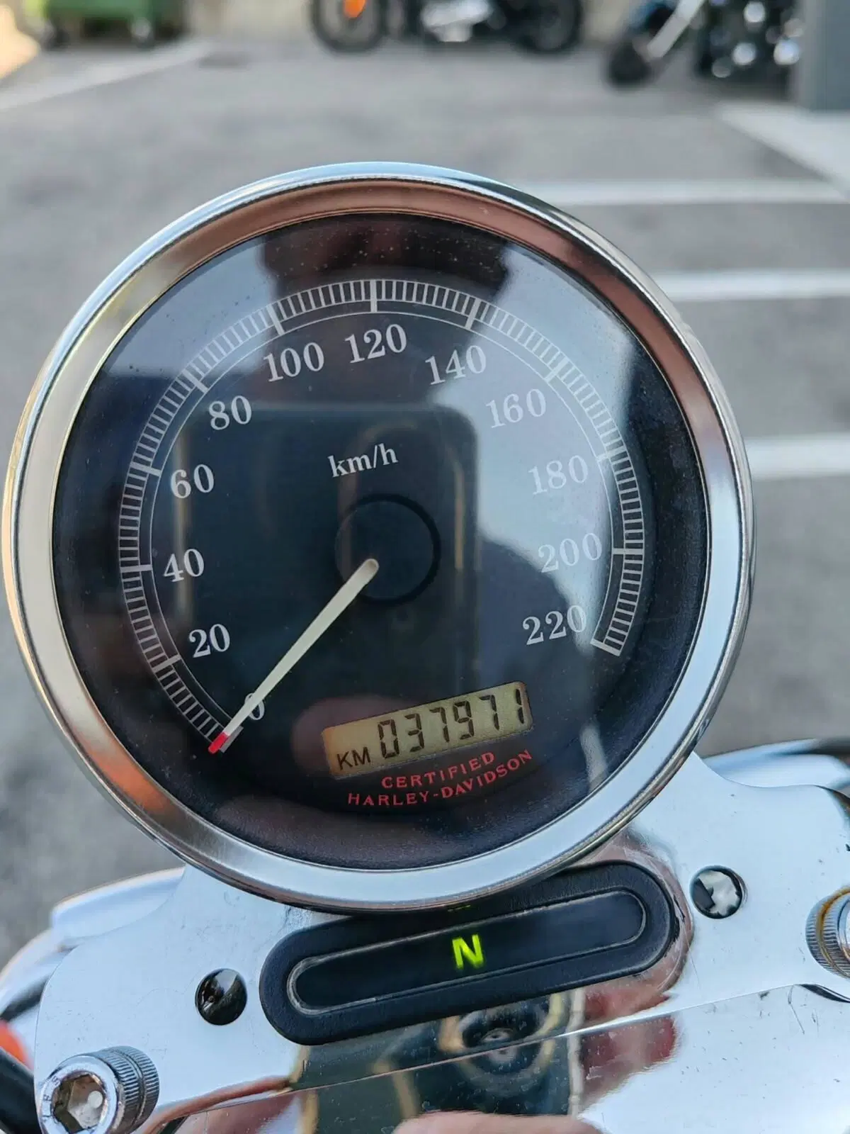 Harley-Davidson 883 Custom (2001 - 05) - XL 53C (8)