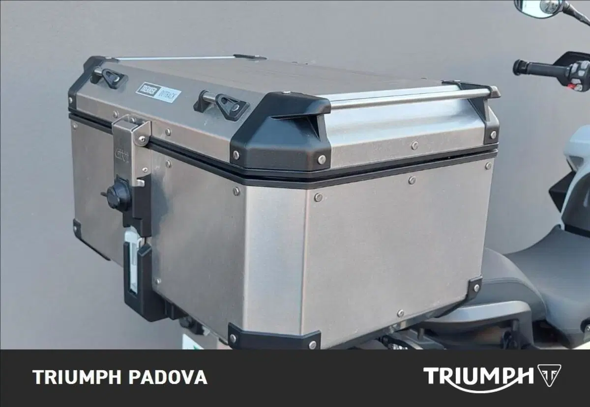 Triumph Tiger 1200 GT Pro (2022 - 23) (14)