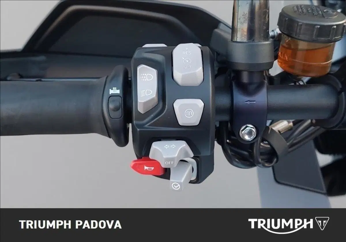 Triumph Tiger 1200 GT Pro (2022 - 23) (12)