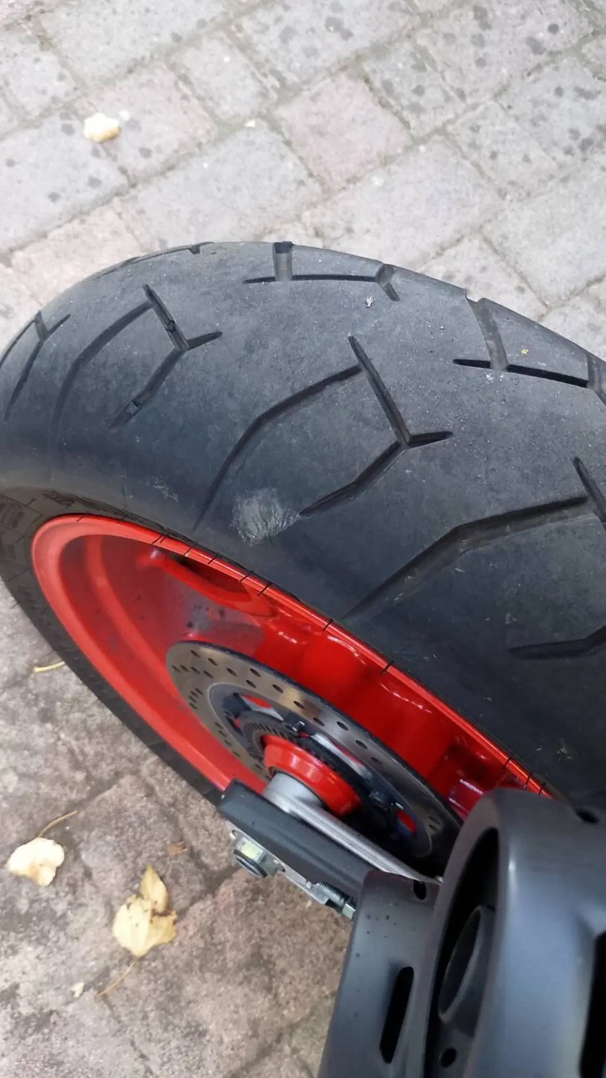 Ducati Monster 937 + (2021 - 25) (3)
