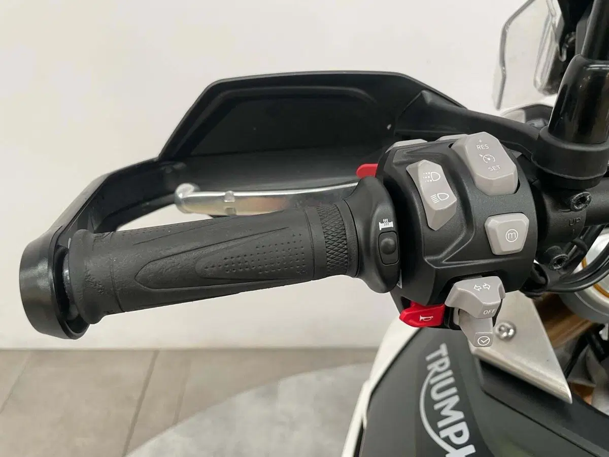 Triumph Tiger 900 Rally Pro (2020 - 23) (5)