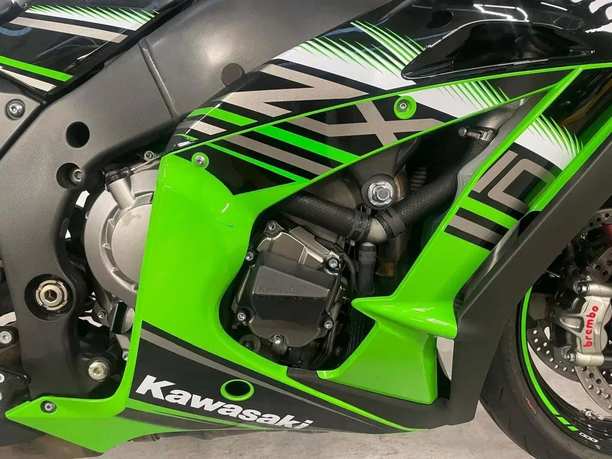 Kawasaki Ninja 1000 ZX-10R (2016) (5)