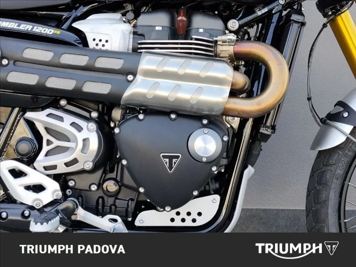 Triumph Scrambler 1200 XE (2024 - 25) (3)