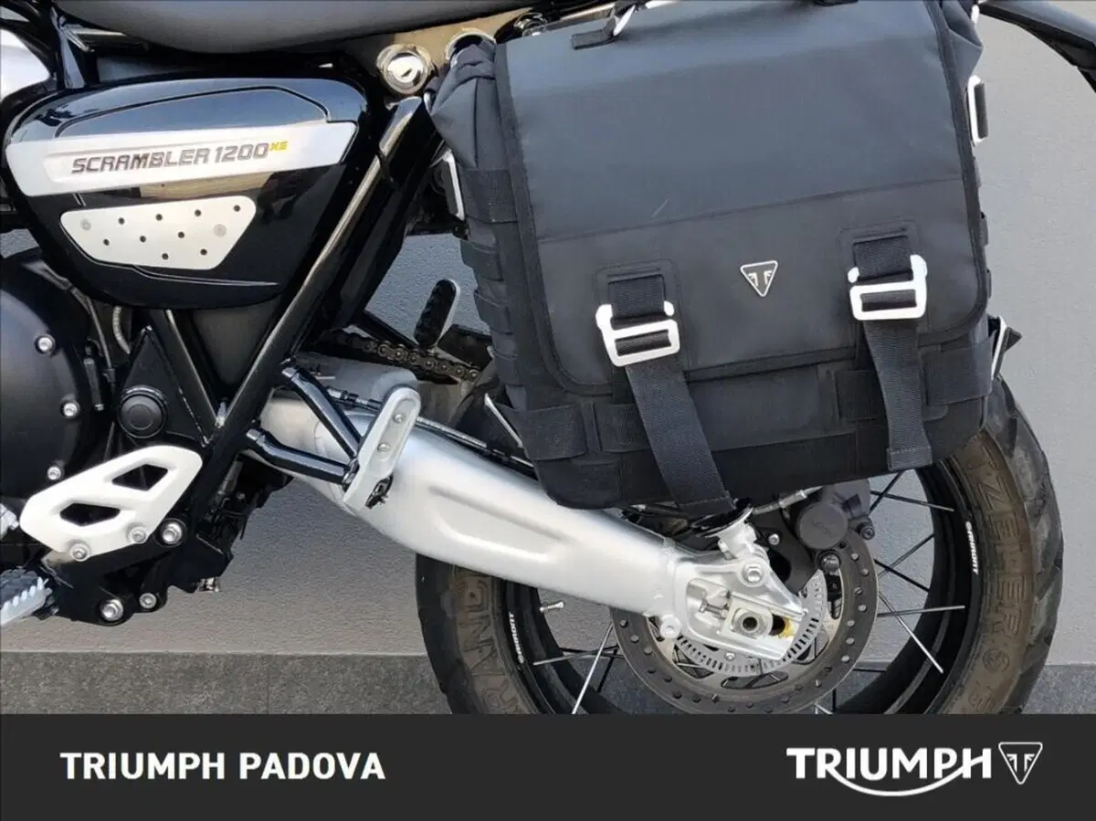 Triumph Scrambler 1200 XE (2024 - 25) (7)