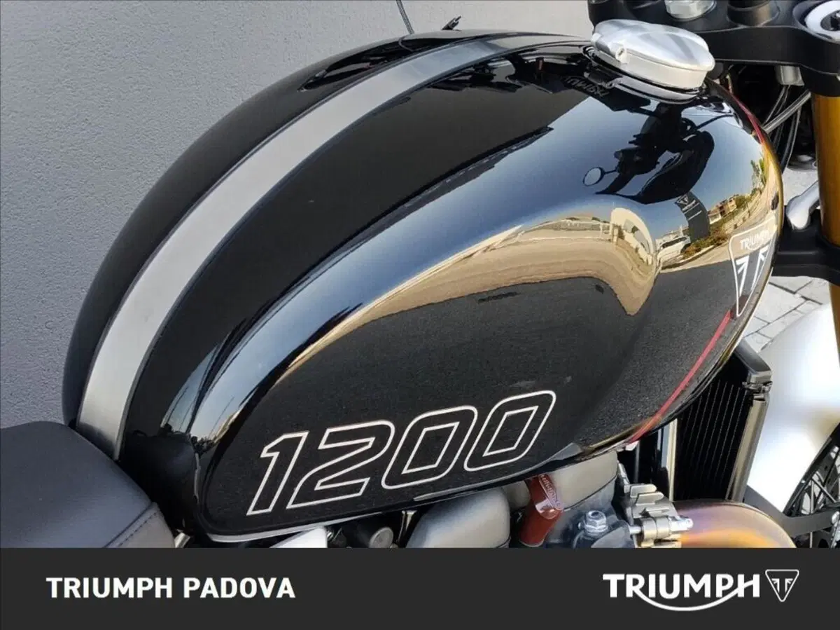 Triumph Scrambler 1200 XE (2024 - 25) (4)