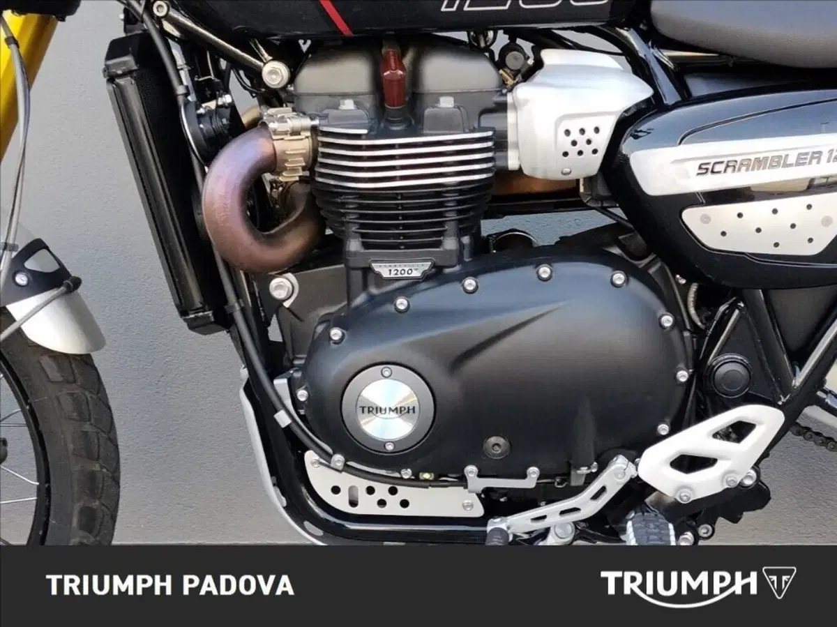 Triumph Scrambler 1200 XE (2024 - 25) (8)