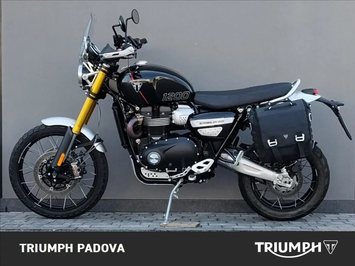 Triumph Scrambler 1200 XE (2024 - 25) (6)