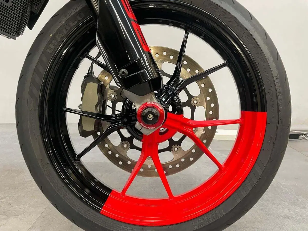 Ducati Hypermotard 698 Mono RVE (2024 - 26) (13)
