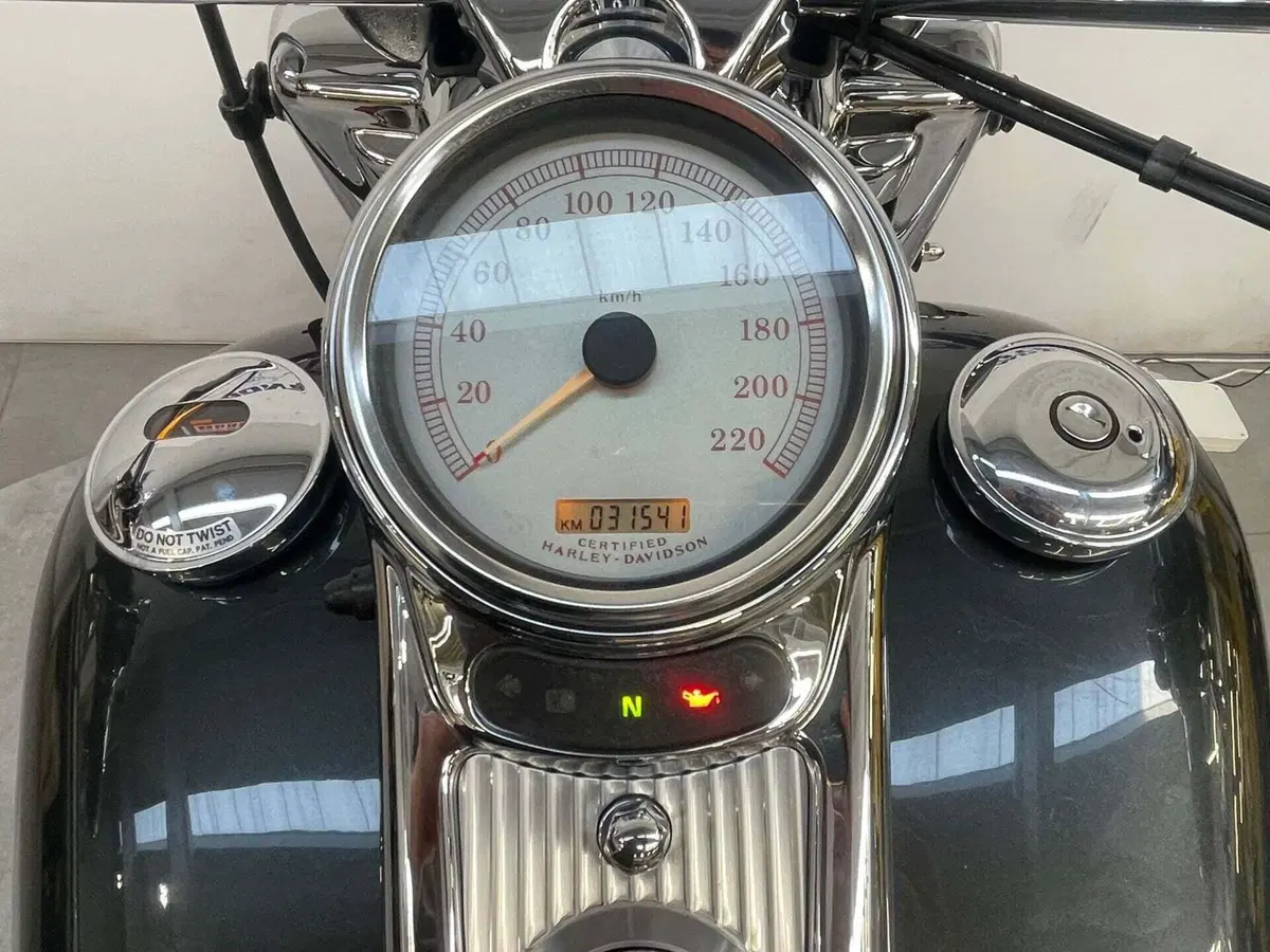 Harley-Davidson 1450 Road King Custom (2005 - 06) - FLHRS (8)