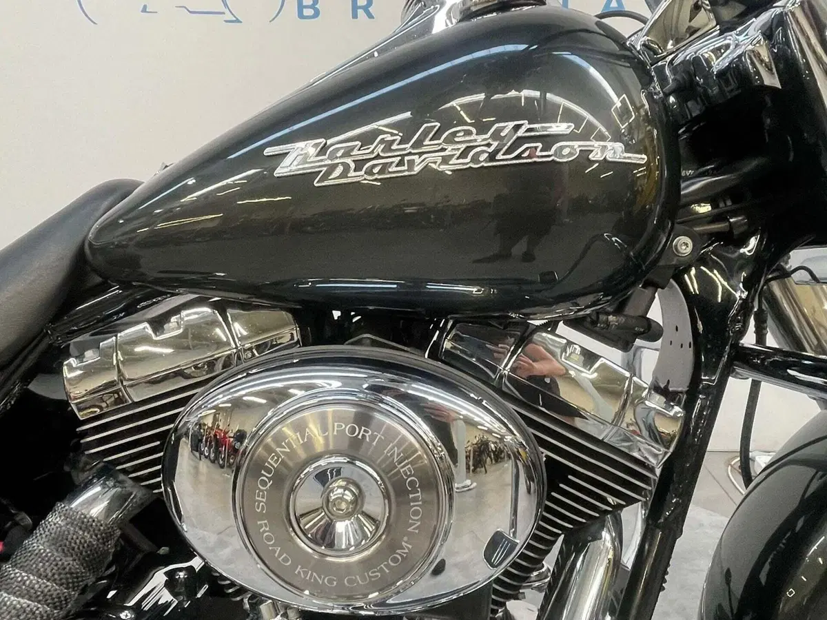 Harley-Davidson 1450 Road King Custom (2005 - 06) - FLHRS (16)