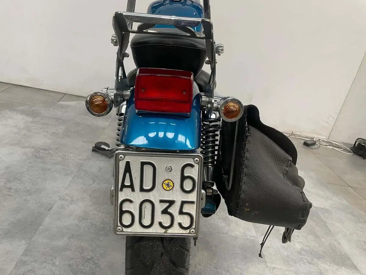 Suzuki (11)