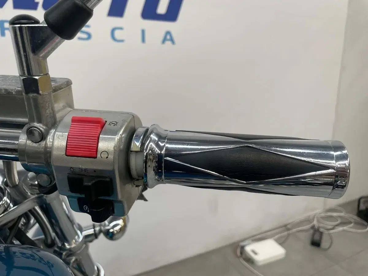 Suzuki (17)