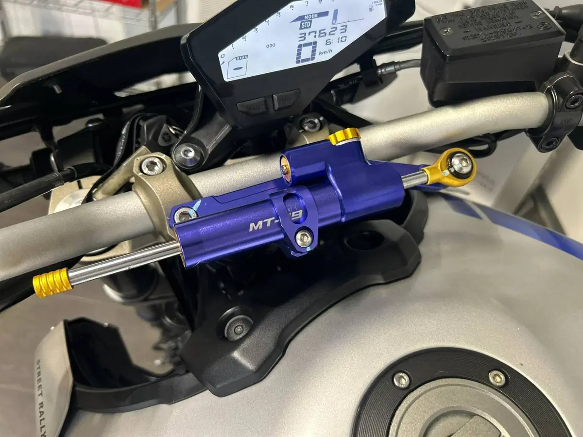 Yamaha MT-09 Street Rally ABS (2014 - 16) (6)