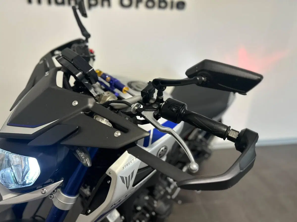 Yamaha MT-09 Street Rally ABS (2014 - 16) (7)