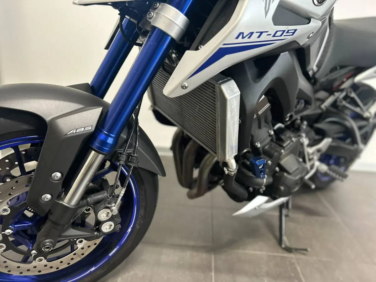 Yamaha MT-09 Street Rally ABS (2014 - 16) (8)