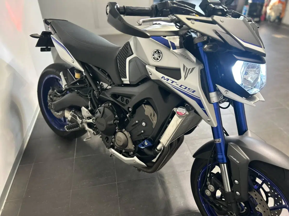 Yamaha MT-09 Street Rally ABS (2014 - 16) (11)