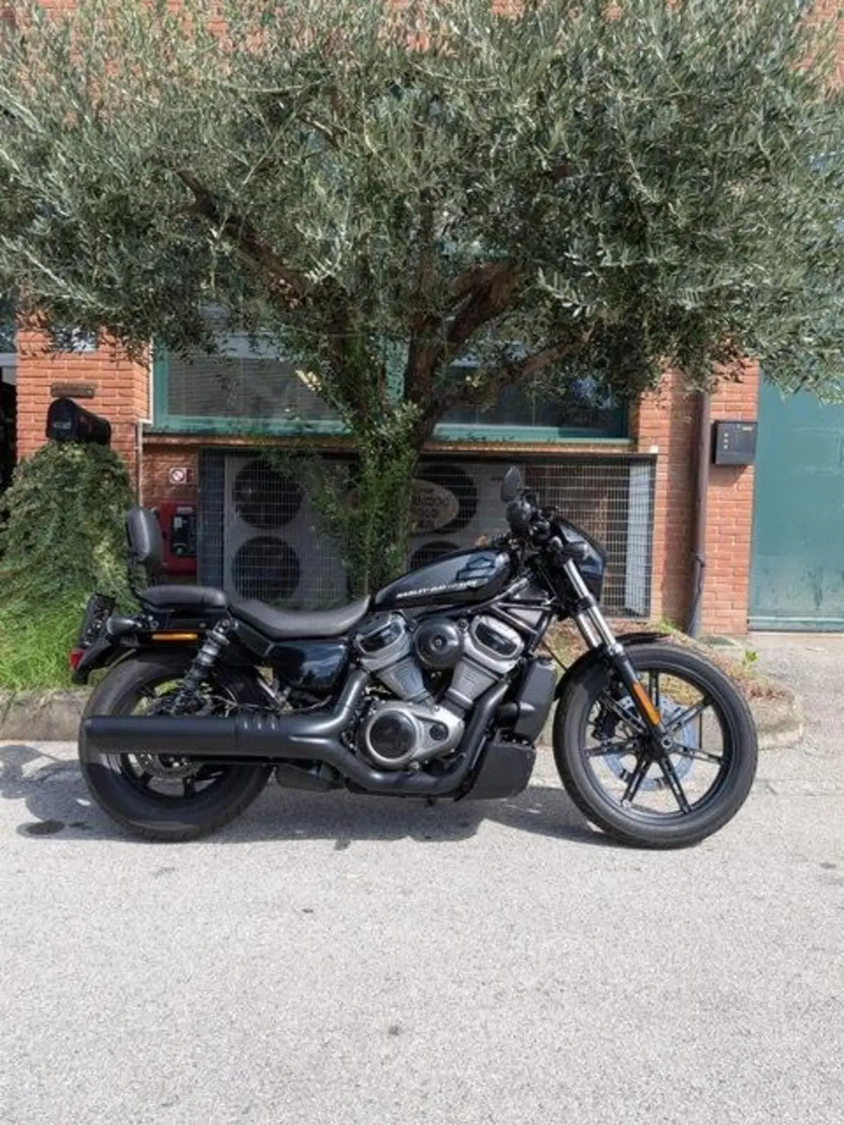 Harley-Davidson Nightster (2023 - 26)
