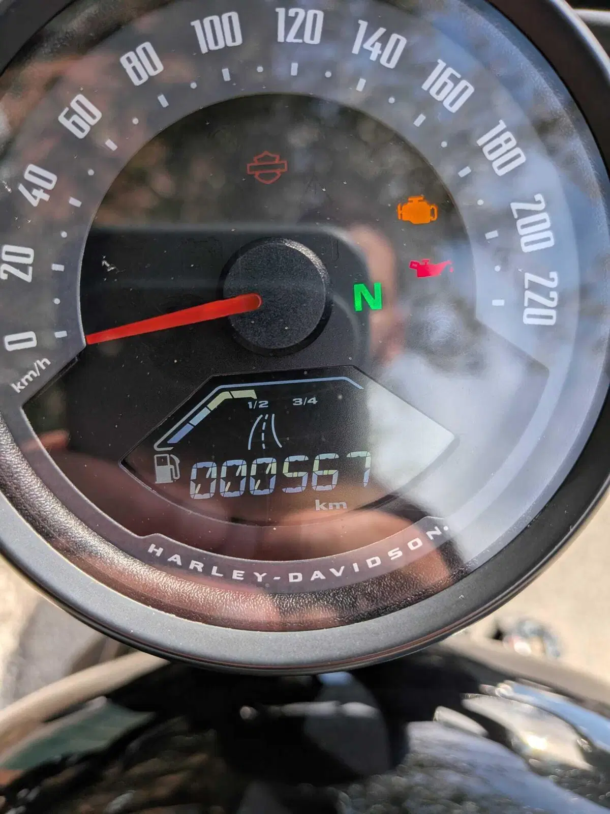 Harley-Davidson Nightster (2023 - 26) (5)