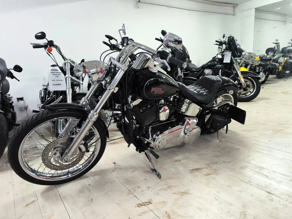 Harley-Davidson 1584 Custom (2008 - 09) - FXSTC (2)