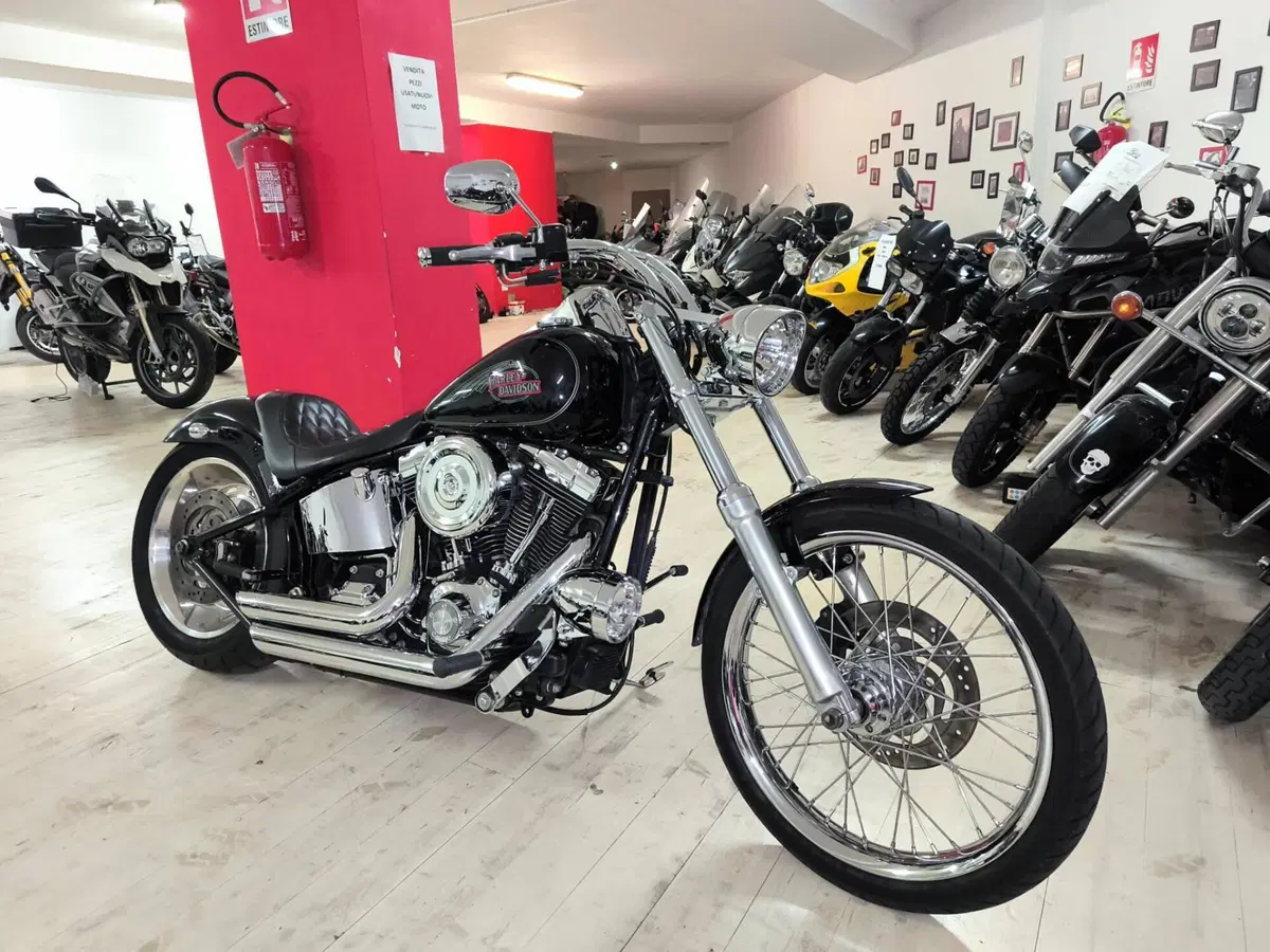 Harley-Davidson 1584 Custom (2008 - 09) - FXSTC (3)