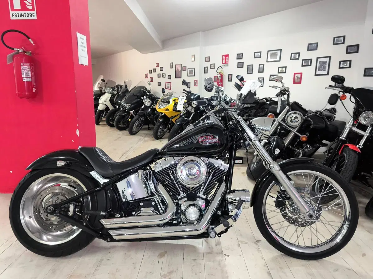 Harley-Davidson 1584 Custom (2008 - 09) - FXSTC (4)