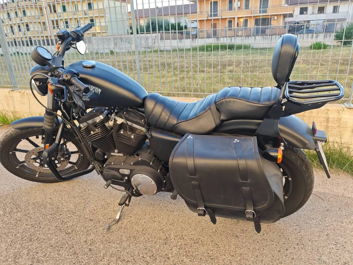 Harley-Davidson 883 Iron (2017 - 20) - XL 883N (3)