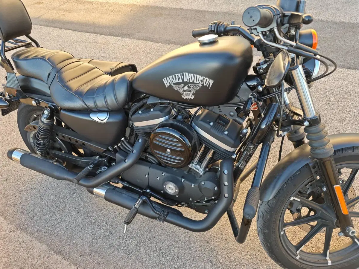 Harley-Davidson 883 Iron (2017 - 20) - XL 883N (4)