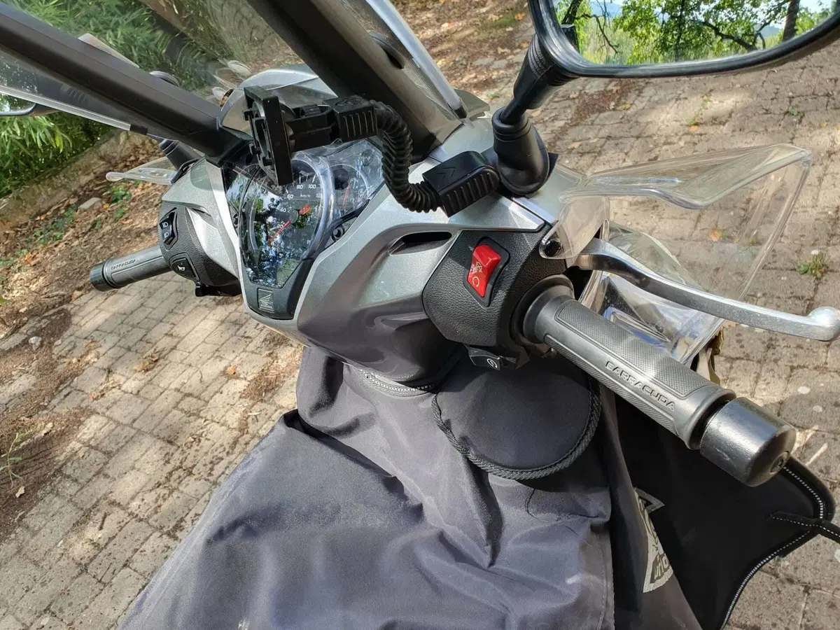 Honda SH 300 i ABS (2016 - 20) (10)