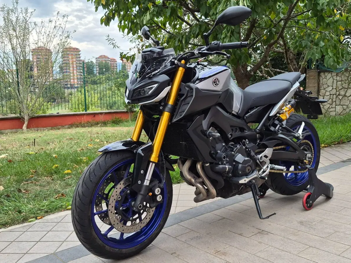 Yamaha MT-09 SP (2018 - 20) (2)