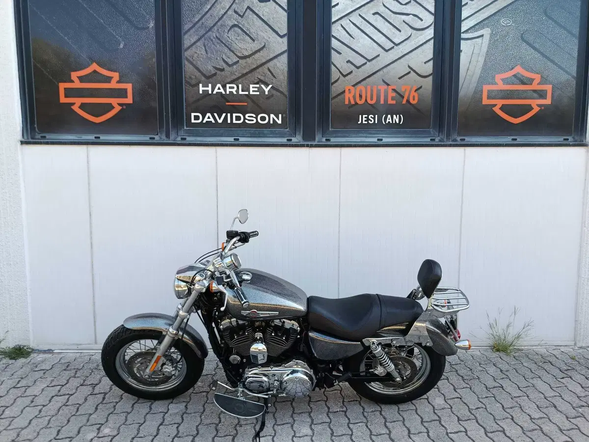 Harley-Davidson 1200 Custom (2007 - 13) - XL 1200C (2)