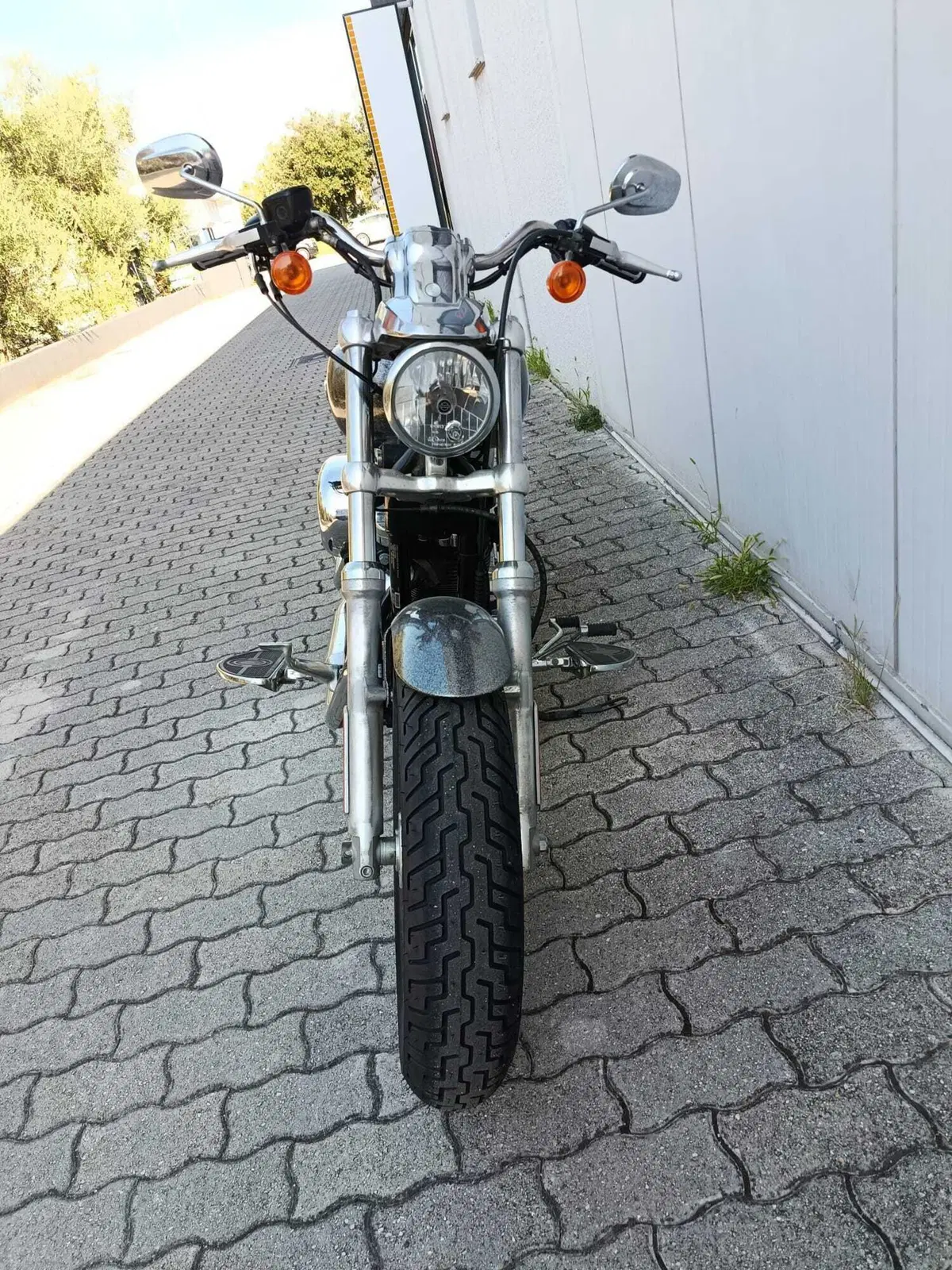 Harley-Davidson 1200 Custom (2007 - 13) - XL 1200C (5)