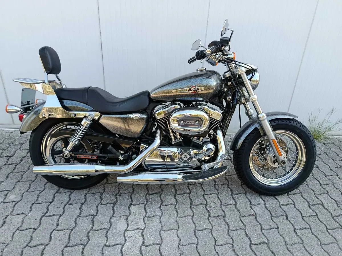 Harley-Davidson 1200 Custom (2007 - 13) - XL 1200C (7)