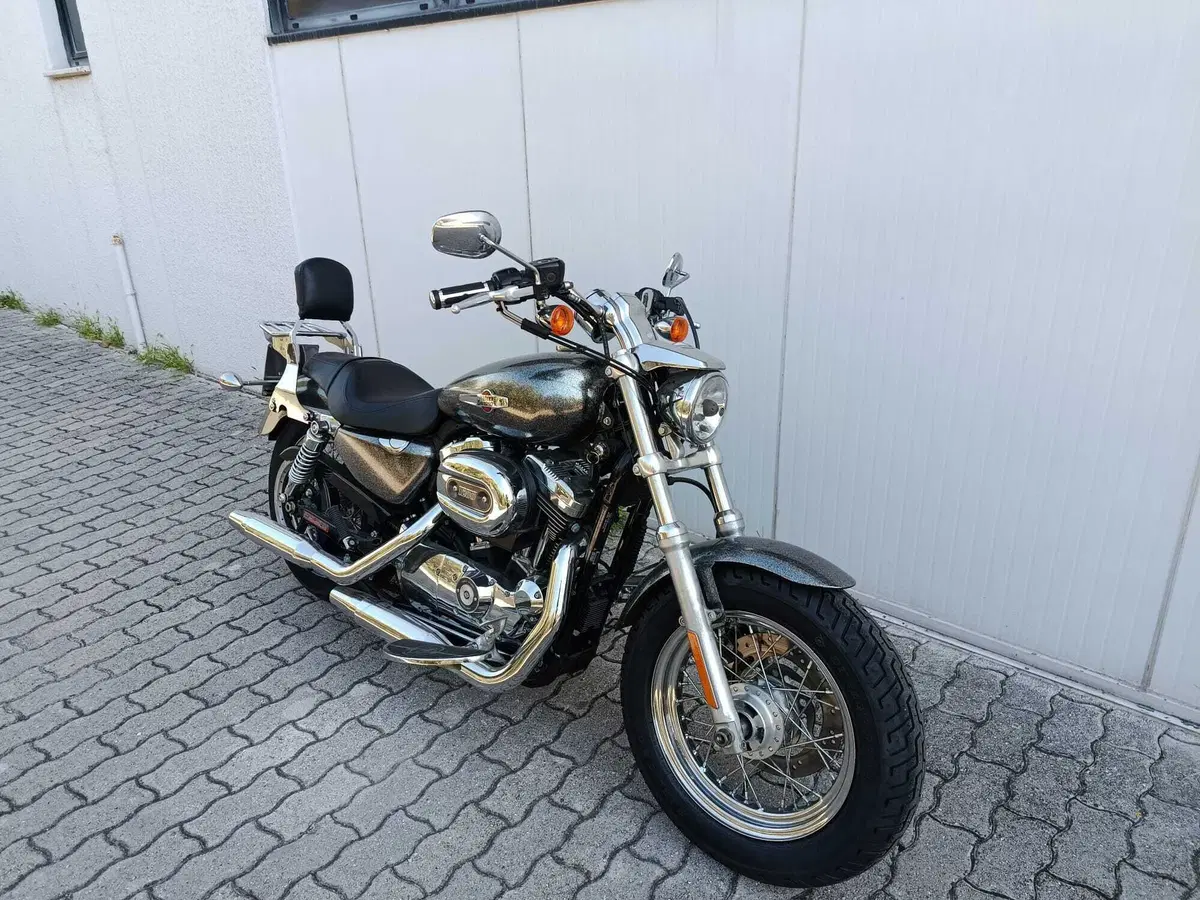Harley-Davidson 1200 Custom (2007 - 13) - XL 1200C (8)