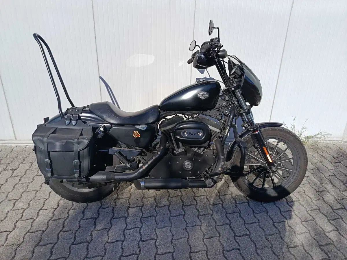 Harley-Davidson 883 Iron (2009 - 11) - XL 883N (3)