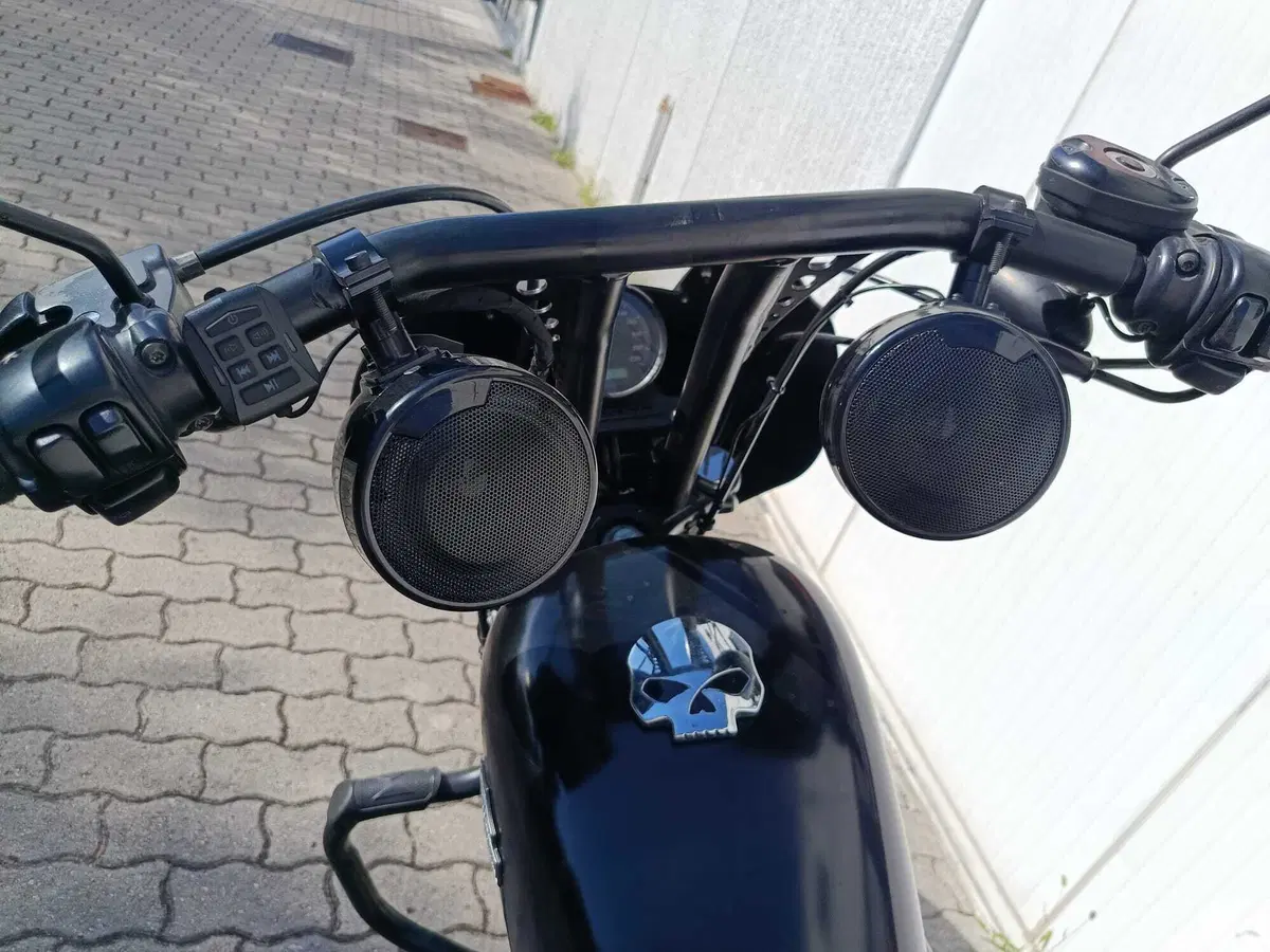Harley-Davidson 883 Iron (2009 - 11) - XL 883N (5)