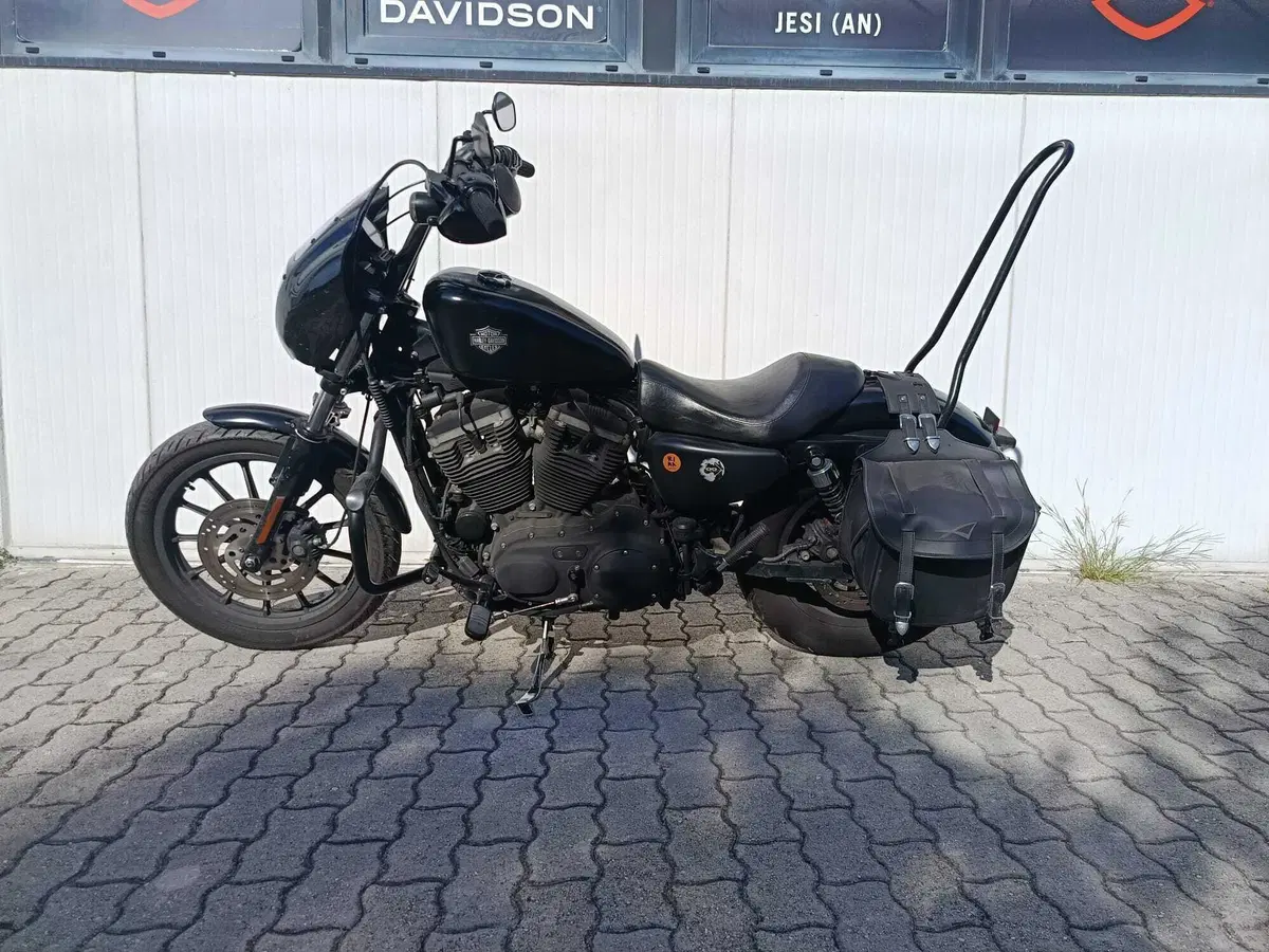 Harley-Davidson 883 Iron (2009 - 11) - XL 883N (7)