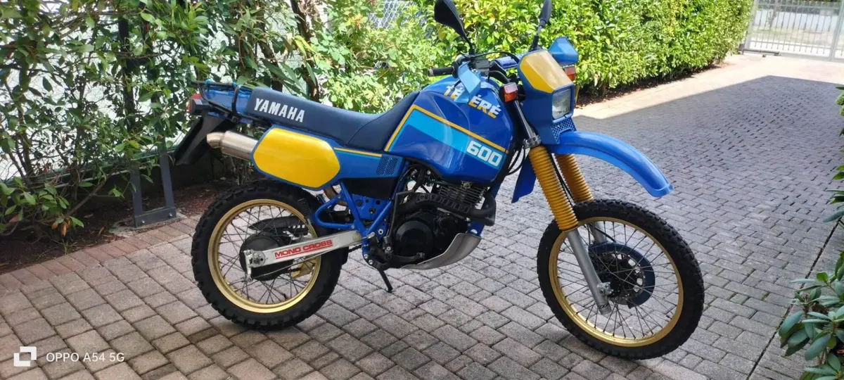 Yamaha Tenere' (2)